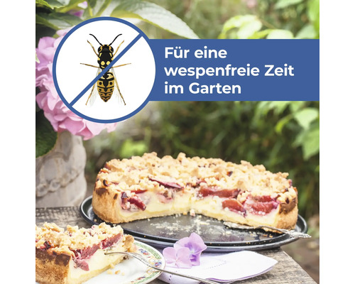 Protect Home wespenschuim 600 ml