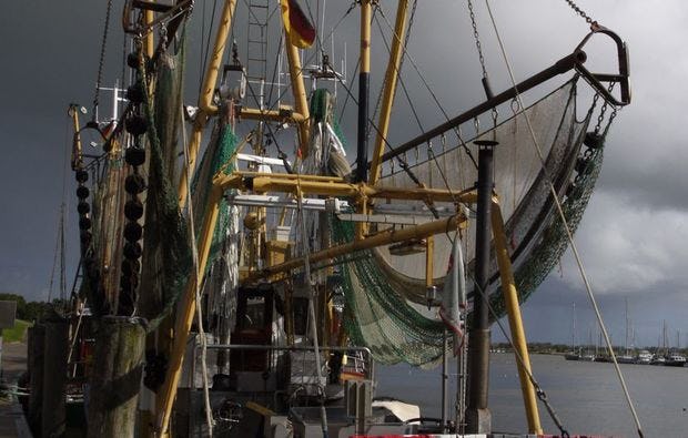Fotokurs durch das Fischerdorf Greetsiel als Geschenk