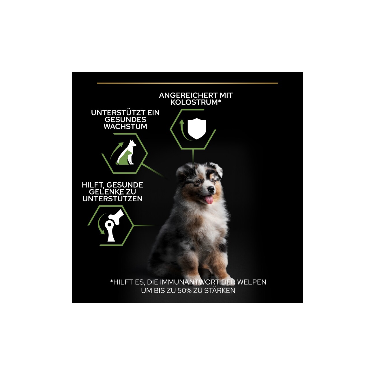 PRO PLAN Puppy Medium Healthy Start Huhn 3 kg