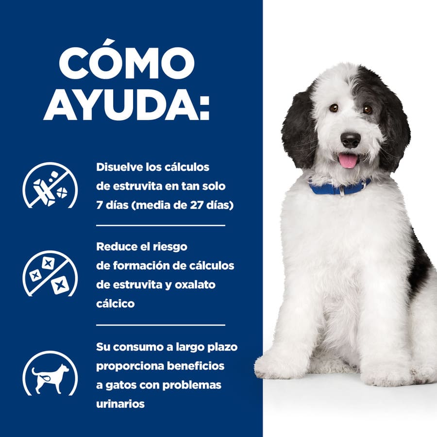 Ração para cães Hill's Prescription Diet Urinary Care c/d com frango