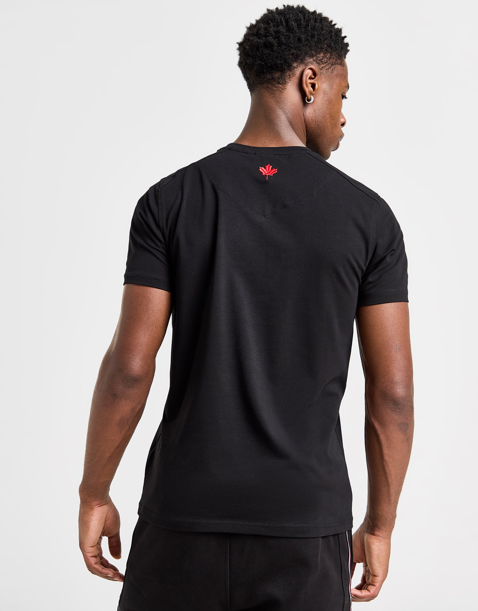 Zavetti Canada T-shirt Ovello Homme