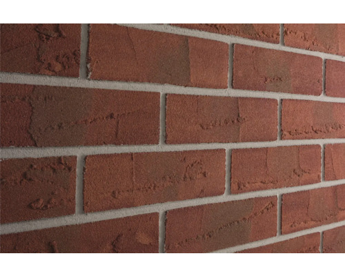 Elabrick gevelsteen Cordoba 24 x 7,1 cm