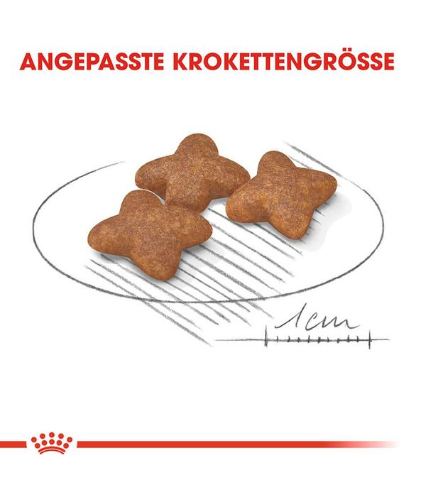 ROYAL CANIN® Trockenfutter für Hunde Mini