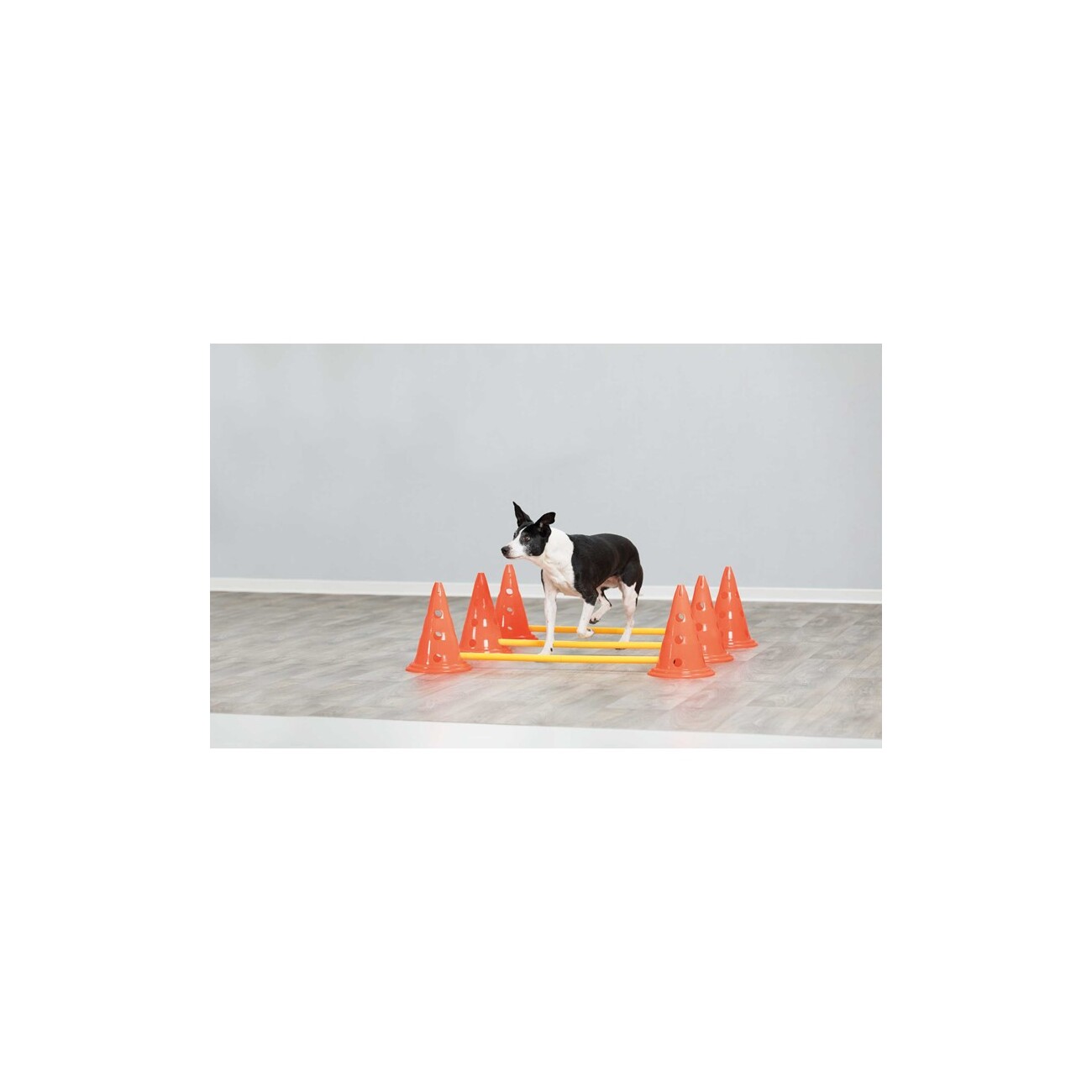 Trixie Dog Activity Hindernisse Ø23x30cm