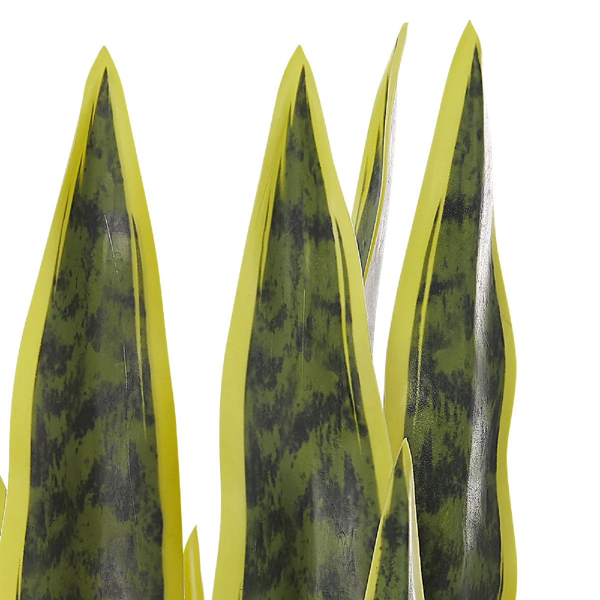 BELIANI SNAKE PLANT 63 cm Vert