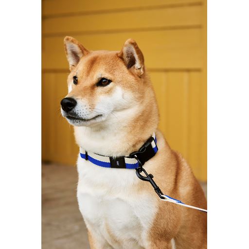 HAY Dog Flat Hundehalsbånd, Blue/ Off White