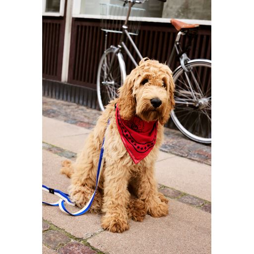 HAY Dog Hundetørklæde, Red