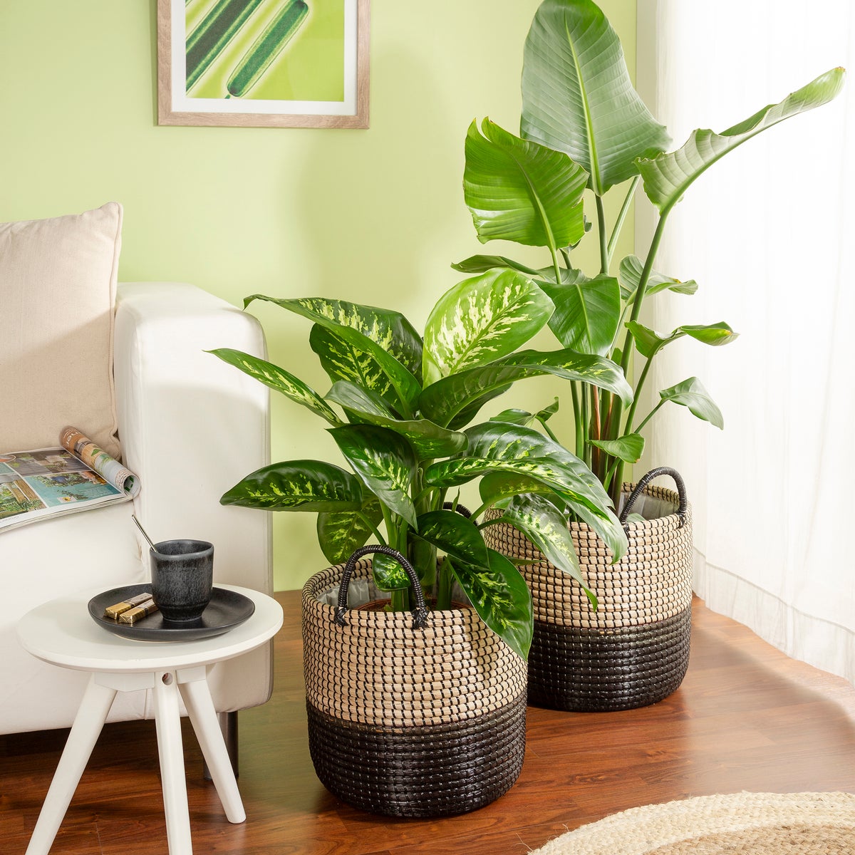 Scheurich Seagrass 34, plantenbak/mandpot met handgrepen van zeegras, kleur: Nature Black, diameter 34 cm, hoogte 30,5 cm, inhoud 26,9 l.
