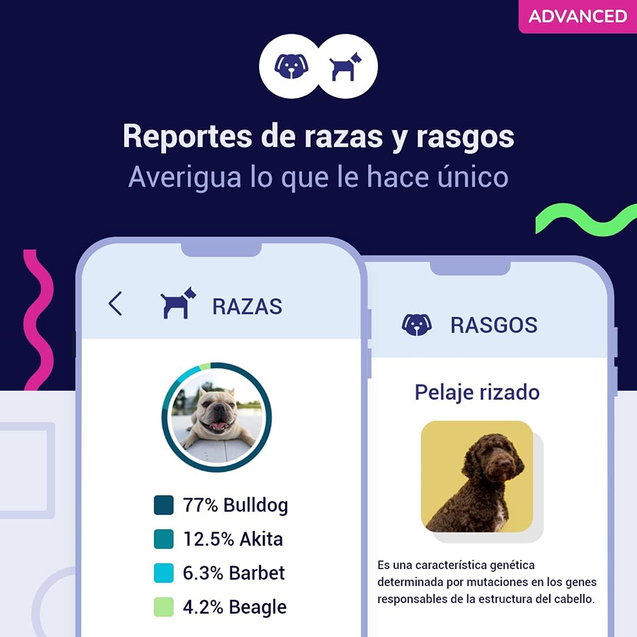 Teste de DNA avançado para cães