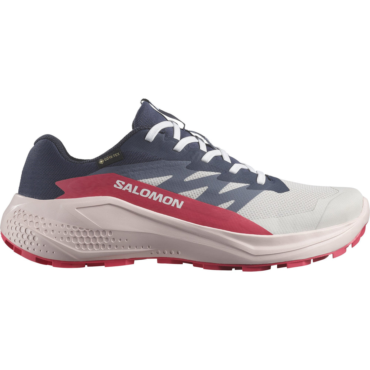 Salomon<br>Alphaglide GTX W
