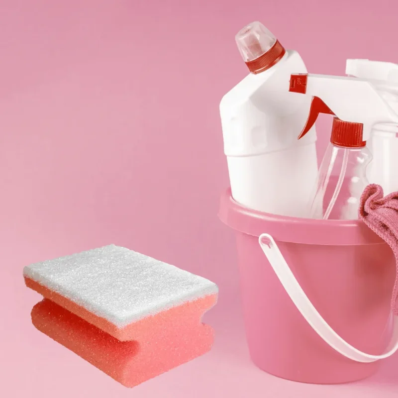 TAMPEL - Eponge sanitaire synthétique - x10