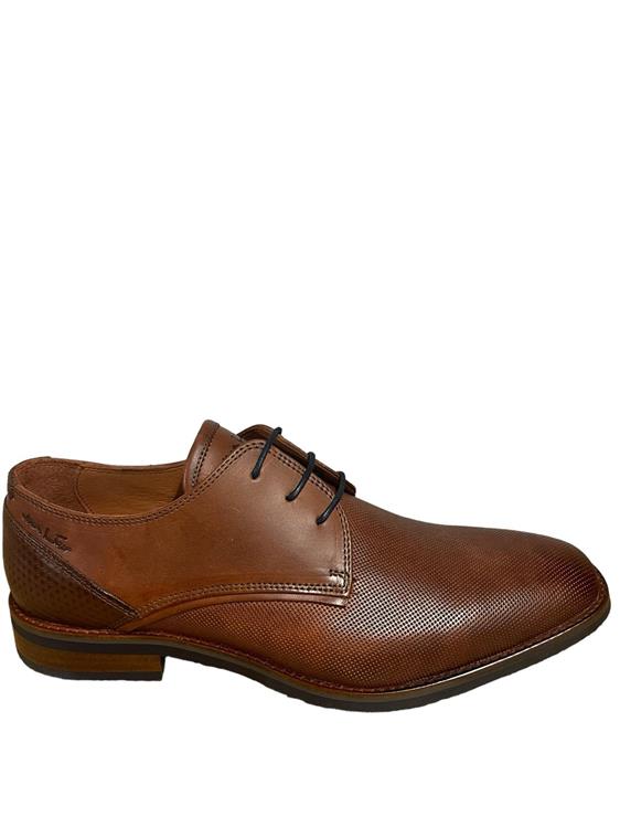 Van Lier 2418600 623 Cognac