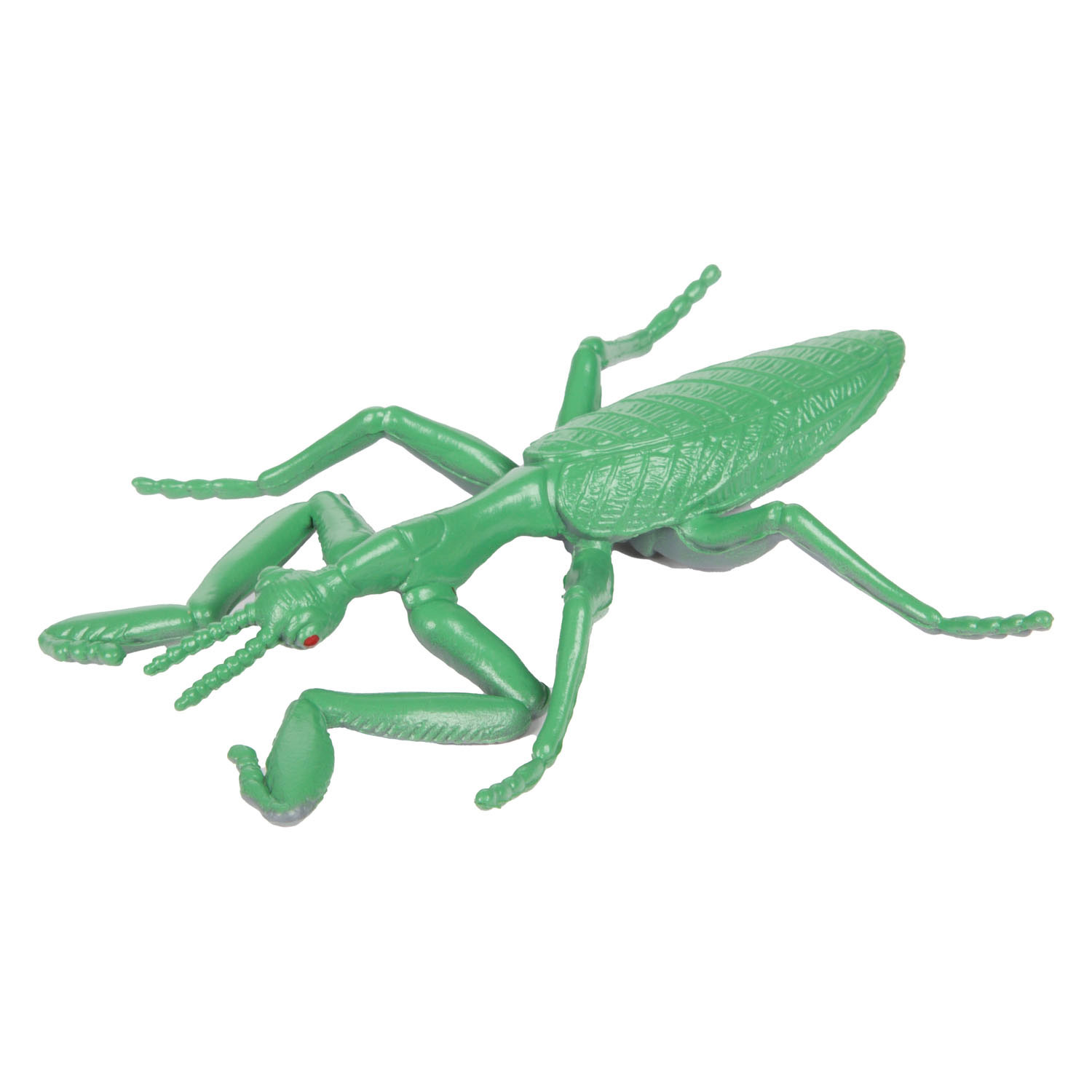 Animal World Grote Griezel Insect