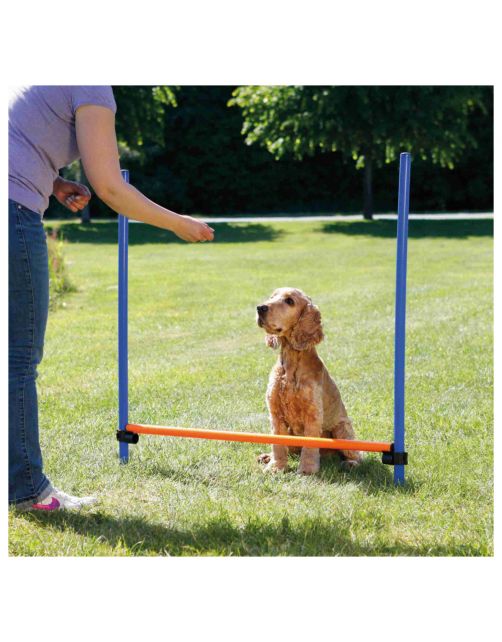 Trixie Dog Activity Agility Horde - Hondensport - 123x115x3.0 cm Blauw Oranje