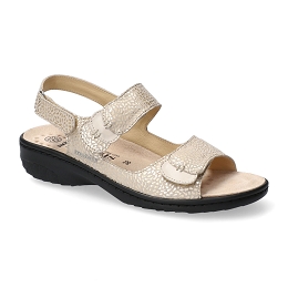 getha  BELEM 24353/silk 7834  PLATINUM