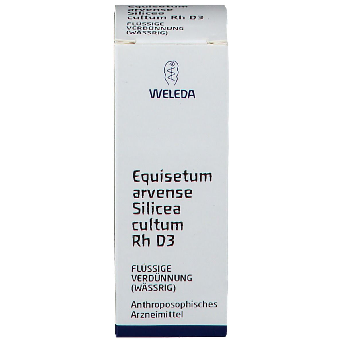 Equisetum Arvense Silicea Cultum Rh D3