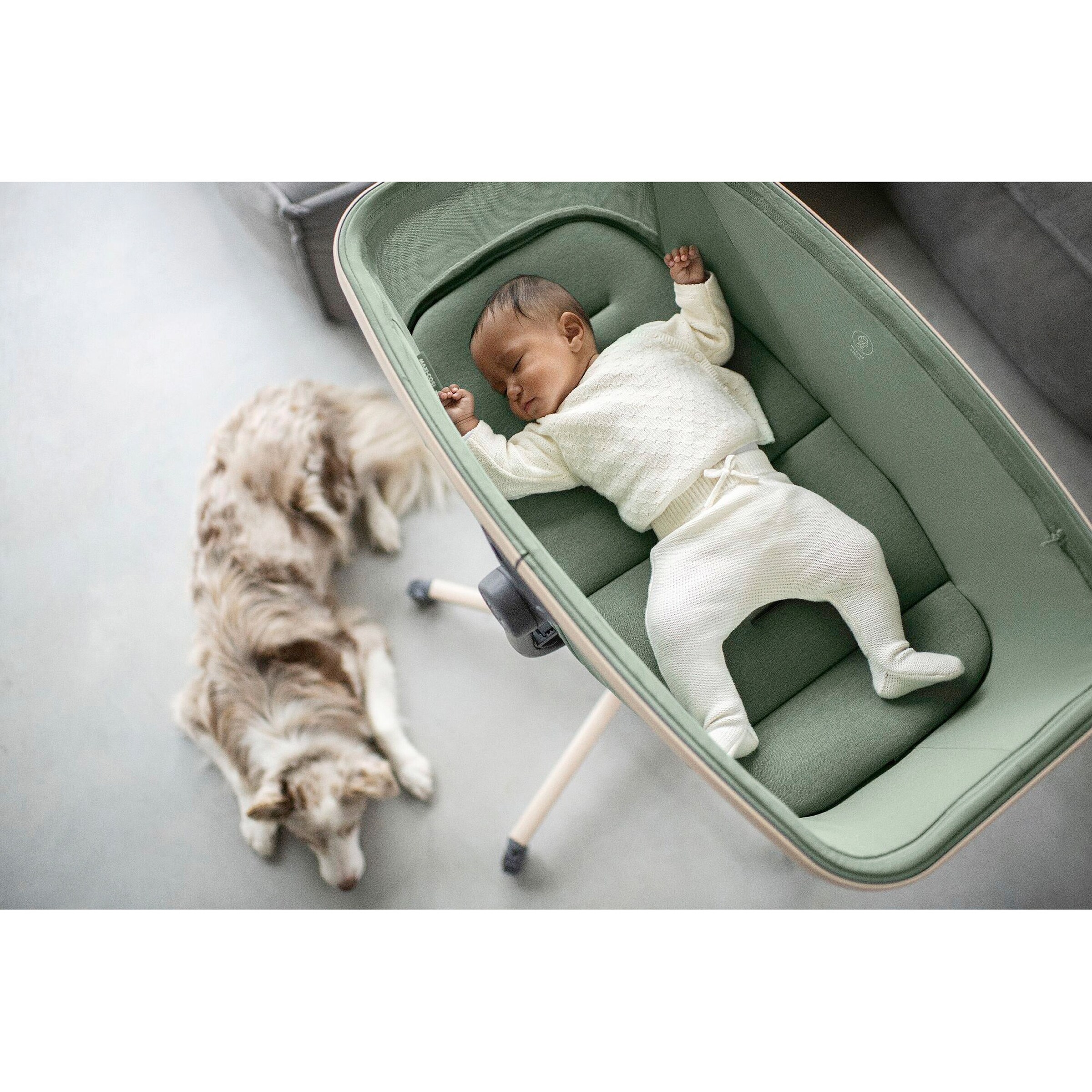Maxi-Cosi Stubenwagen, Hochstuhl und Liegesessel Alba Beyond Green