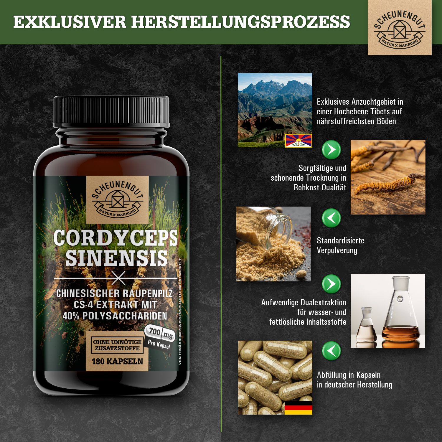 Scheunengut® Cordyceps Sinensis CS-4 Extrakt | 10:1 Raupenpilz Extrakt mit 40% Polysaccharide