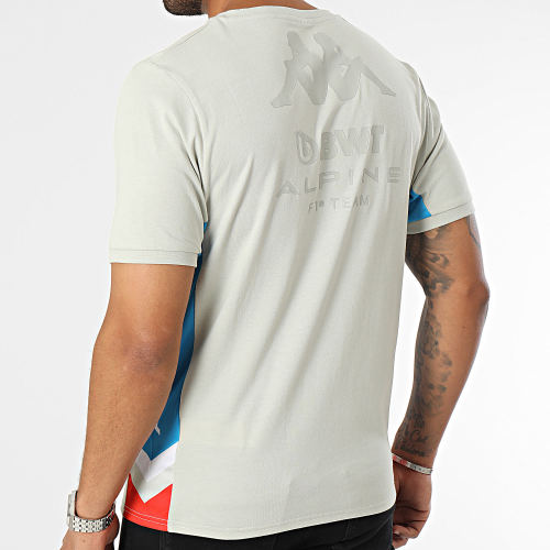 Tee Shirt Anser Alpine F1 341N4VW Gris Bleu Rouge