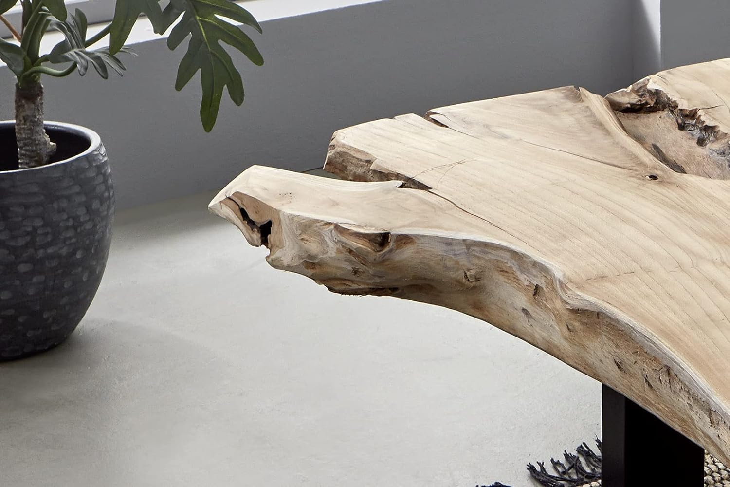 SAM Couchtisch Ibiza, Beistelltisch aus Wurzelholz, Teakholz massiv + naturbelassen, Sofatisch mit Metallbeinen schwarz, 110 x 60 x 40 cm
