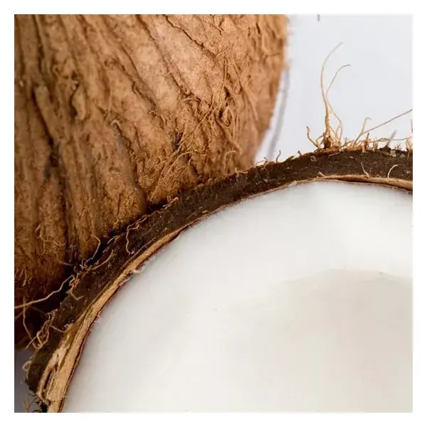Lovea Coco Esfoliante Corporal Orgânico 150ml