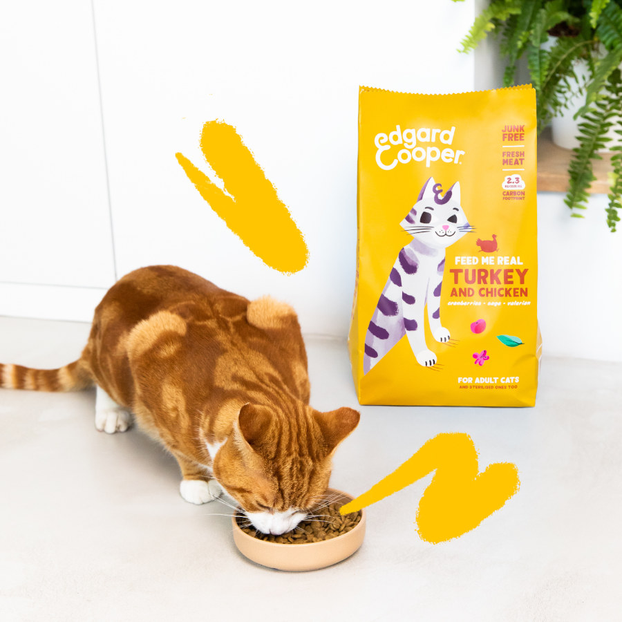 Ração para gatos adultos Edgard & Cooper com peru e frango