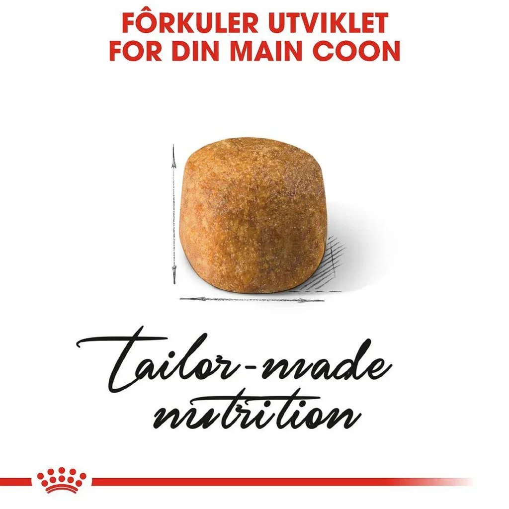 Royal Canin Royal Canin Maine Coon Adult 4 kg