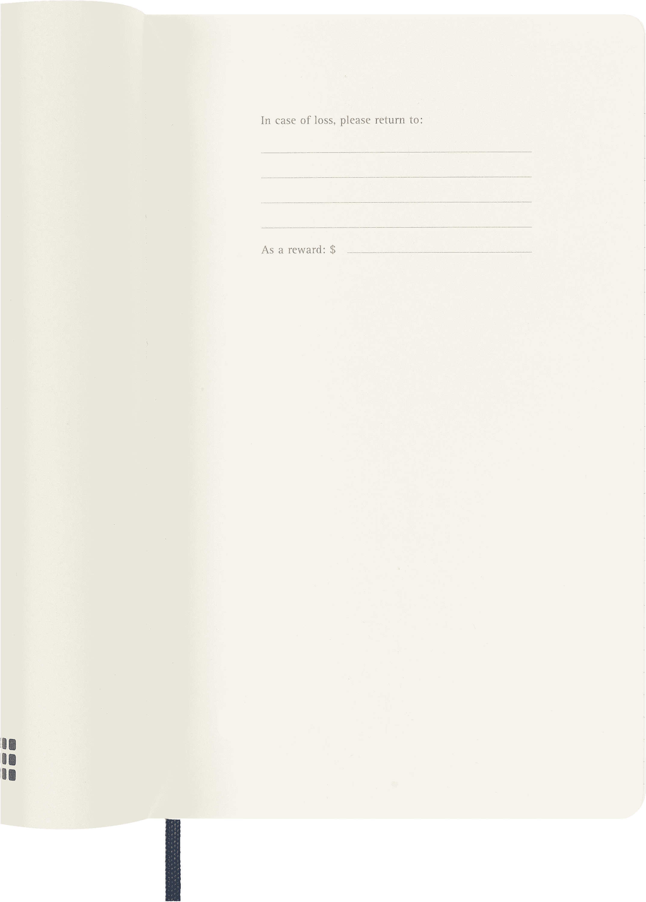 Classic Planner 2025 Large Daily, soft cover, 12 months