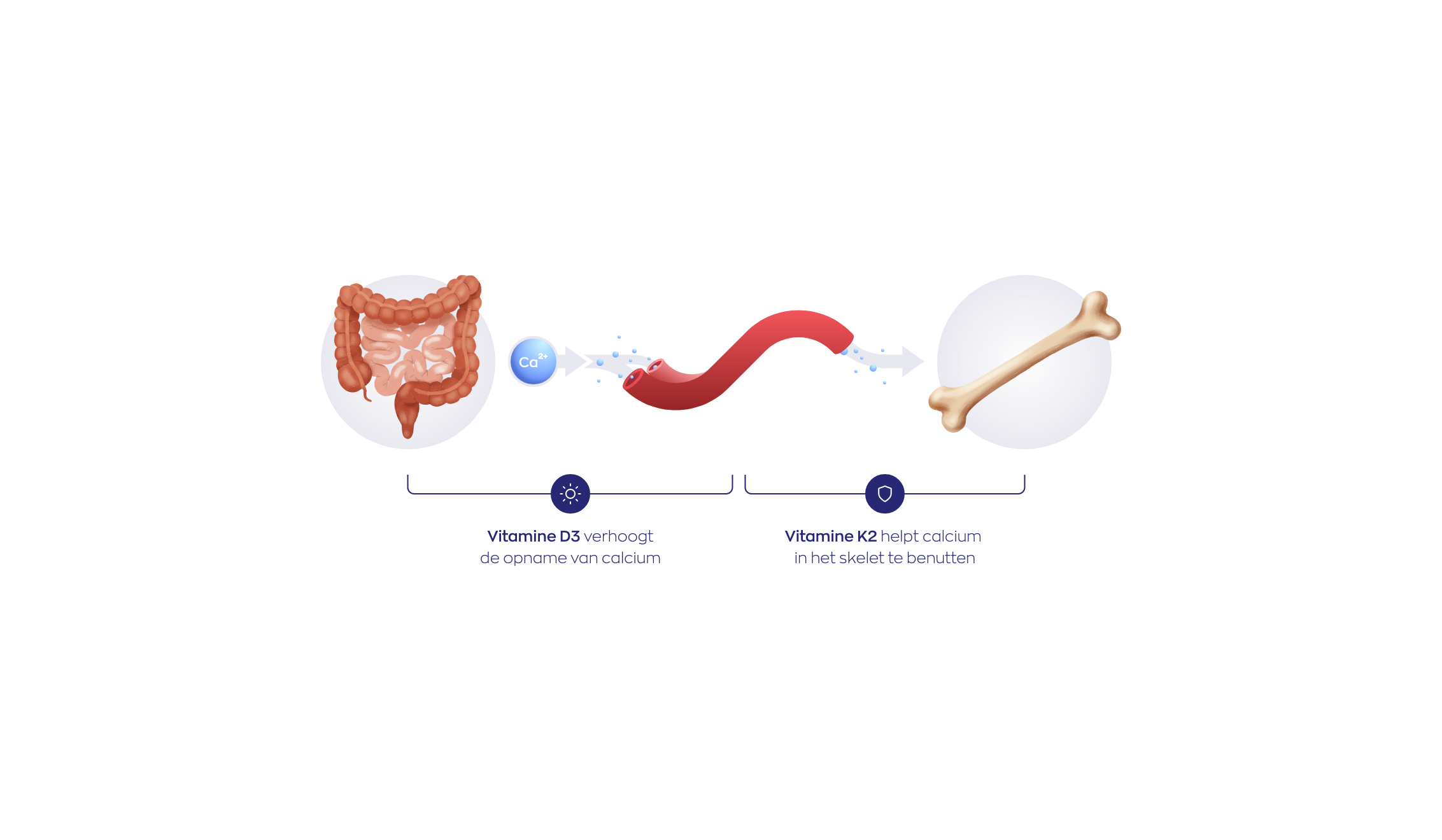 Vitamine D3 & K2 softgels