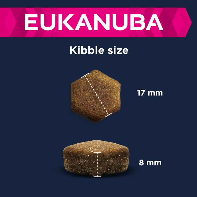Eukanuba Senior Large & Giant Breed agneau, riz