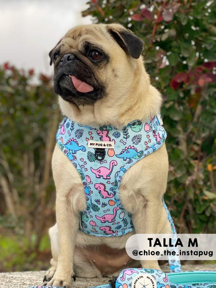 Coleira ajustável Doggysaurus
