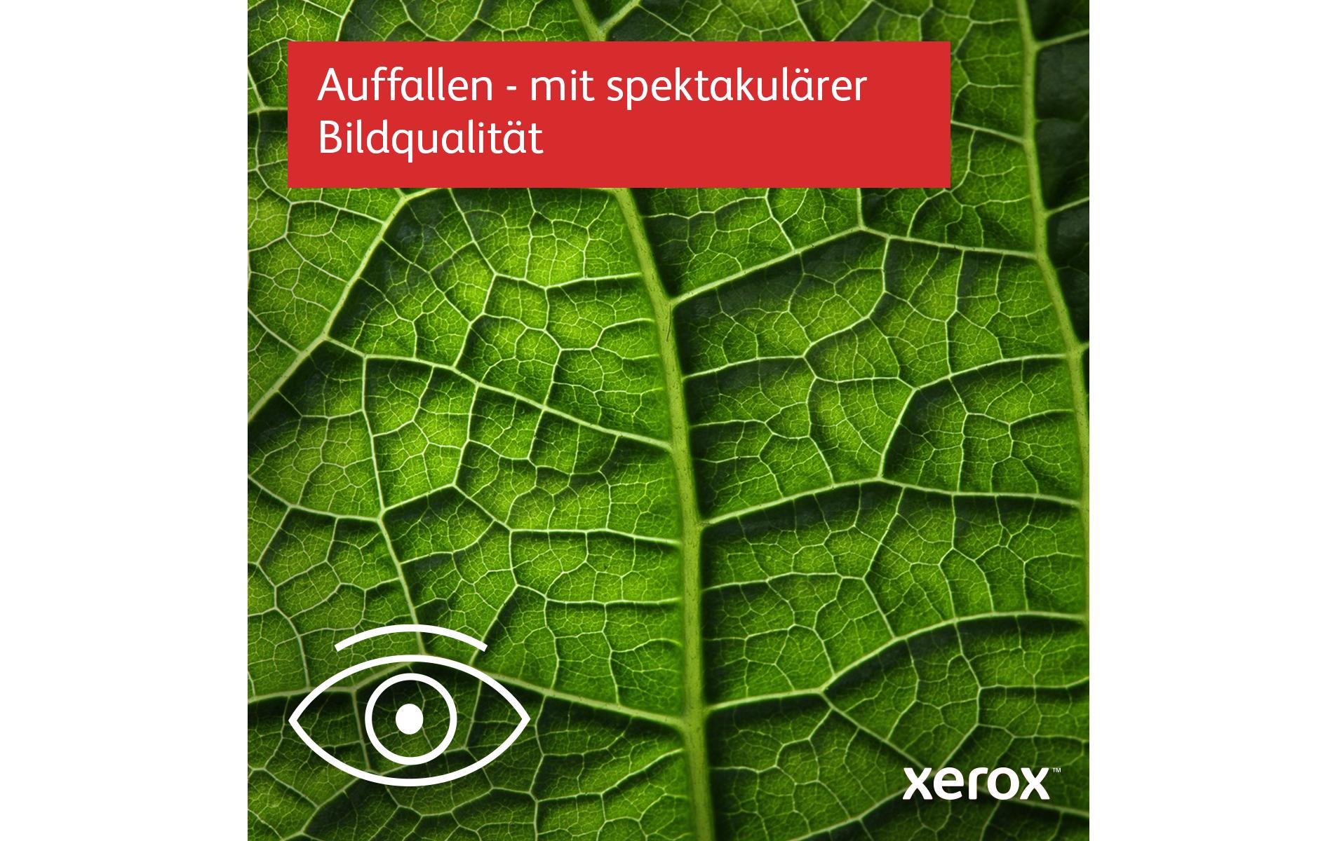 Drucker C410<br>Netzwerkfähiger Farblaserdrucker mit Duplexeinheit