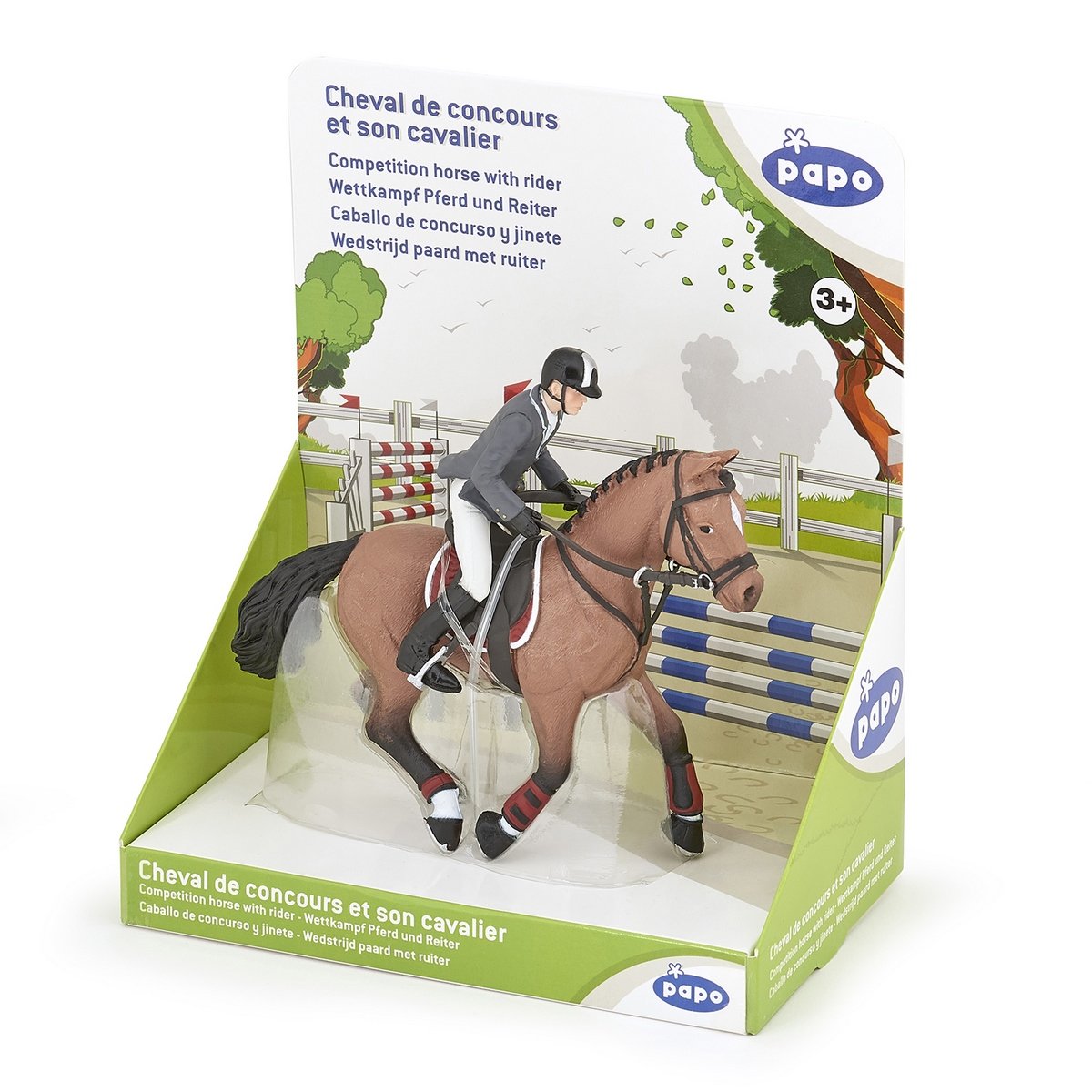 Cheval de concours et son cavalier