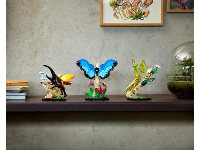 LEGO De insectencollectie (21342)