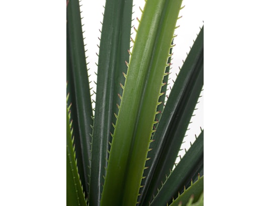 BIZZOTTO - Soliflore 2 Ruscaceae 28 feuilles h90 cm
