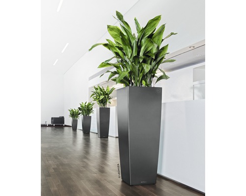 Lechuza Cubico Alto 40 plantenbak complete set H 105 cm antraciet