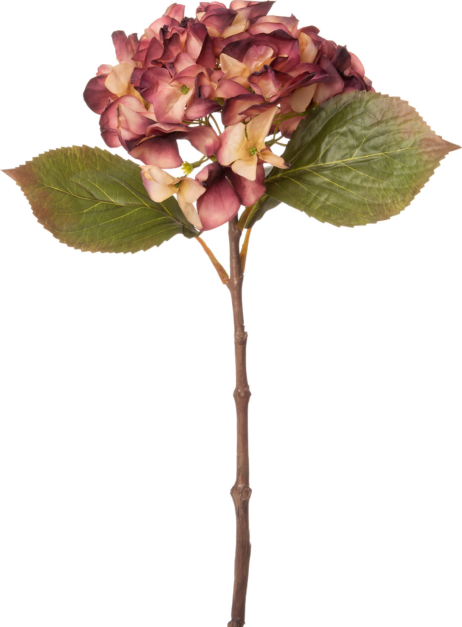 Intratuin kunstbloem Hortensia 19 cm paars