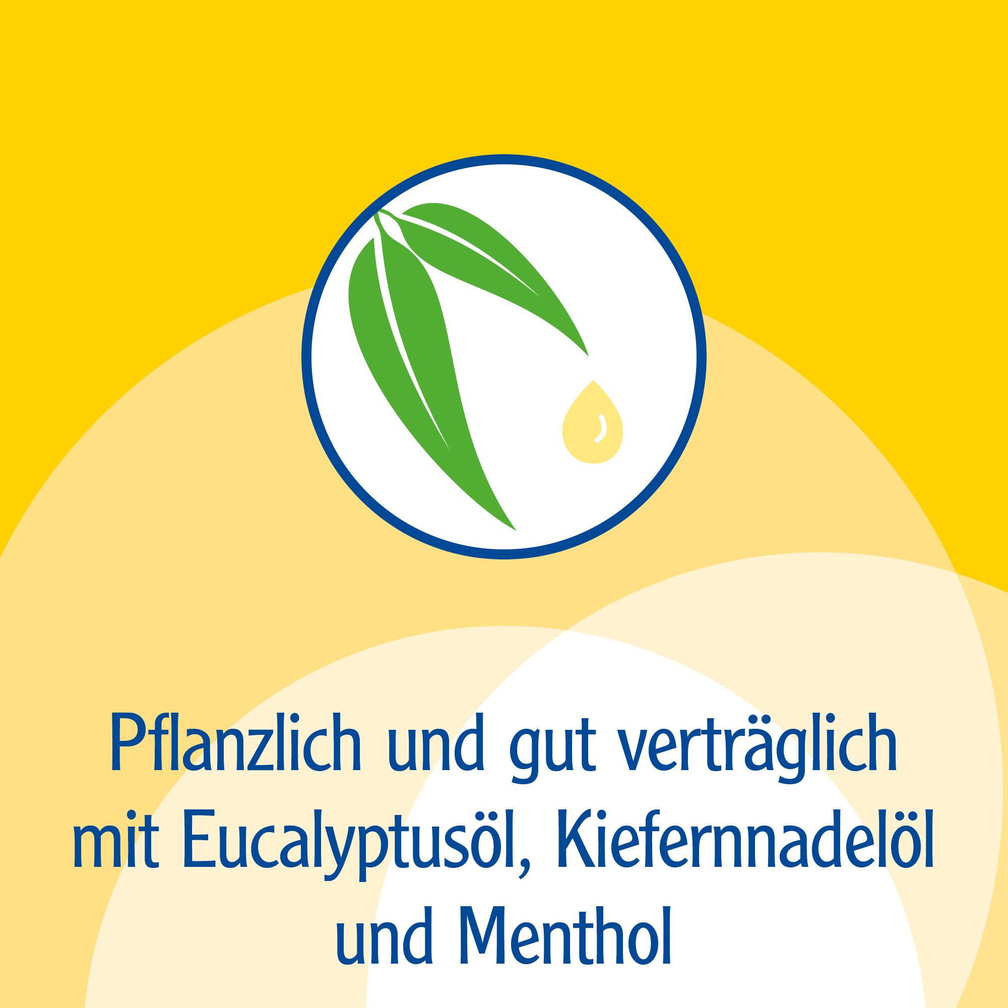 Pinimenthol® Erkältungssalbe ab 12 Jahren - mit Eucalyptusöl, Kiefernnadelöl und Menthol