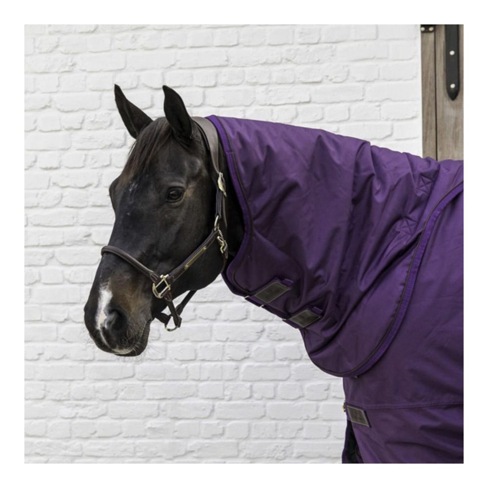 Kentucky ALL WEATHER 1680D 150G - Couvre-reins royal purple