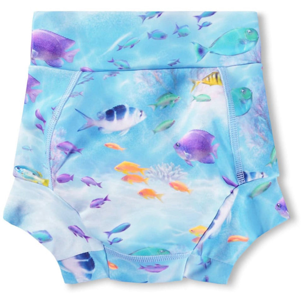 Køb Molo Rainbow Sea Nick Badeshorts