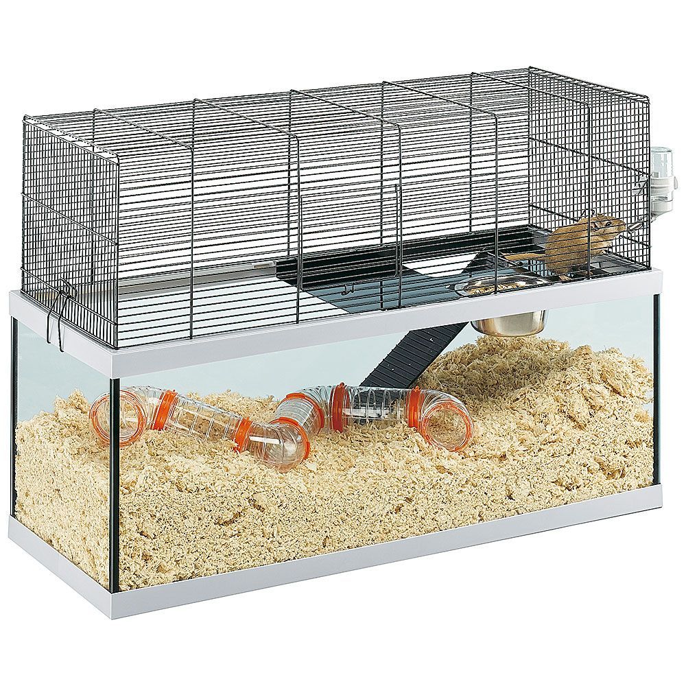 Ferplast cages pour gerbilles gabry 80 petits rongeurs, structure à 2 étages, accessoires inclus, cuve en verre et grillage en