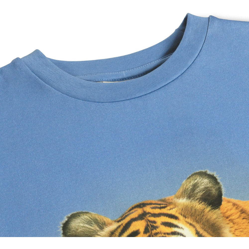 Køb Molo Tiger On Blue Rubin T-Shirt