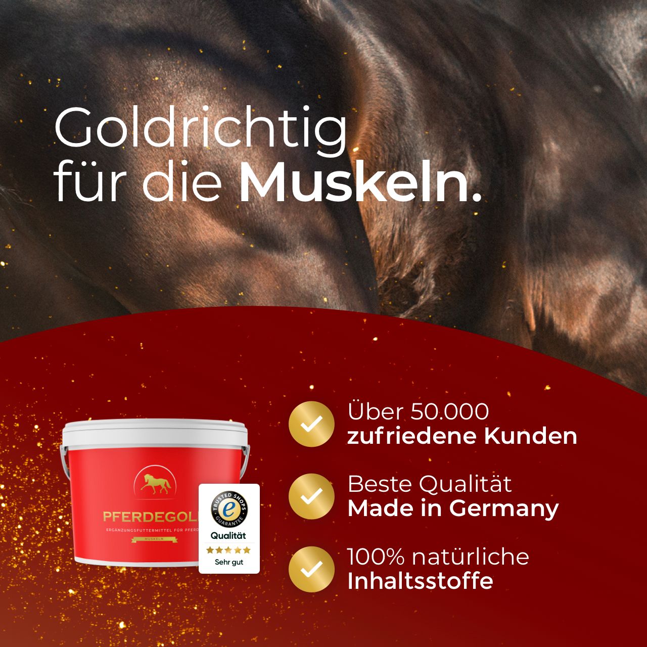 Pferdegold® Muskeln