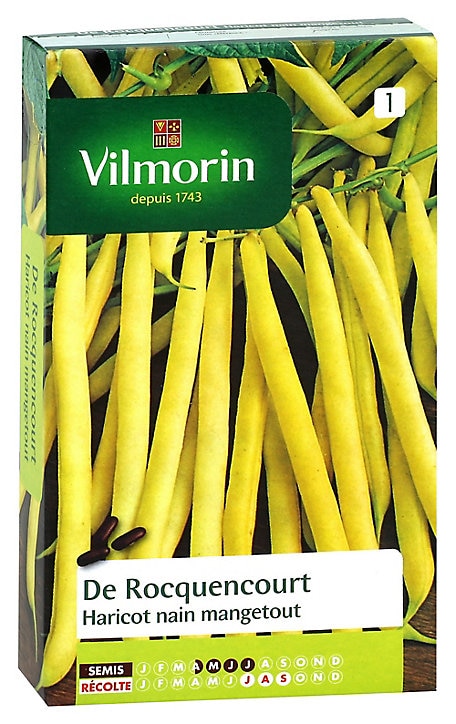 Graines de Haricot Nain Beurre Rocquencourt Vilmorin