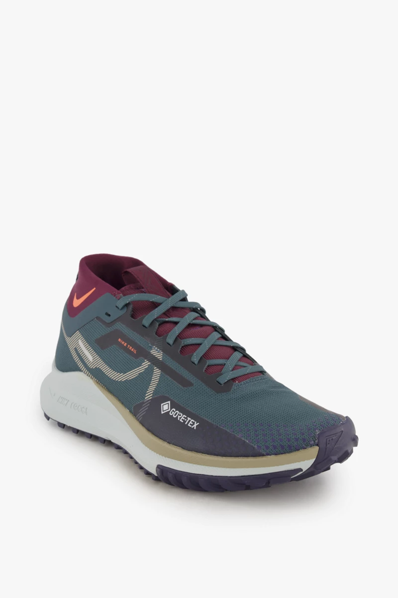 Nike Pegasus Trail 4 Gore-Tex® Herren Trailrunningschuh