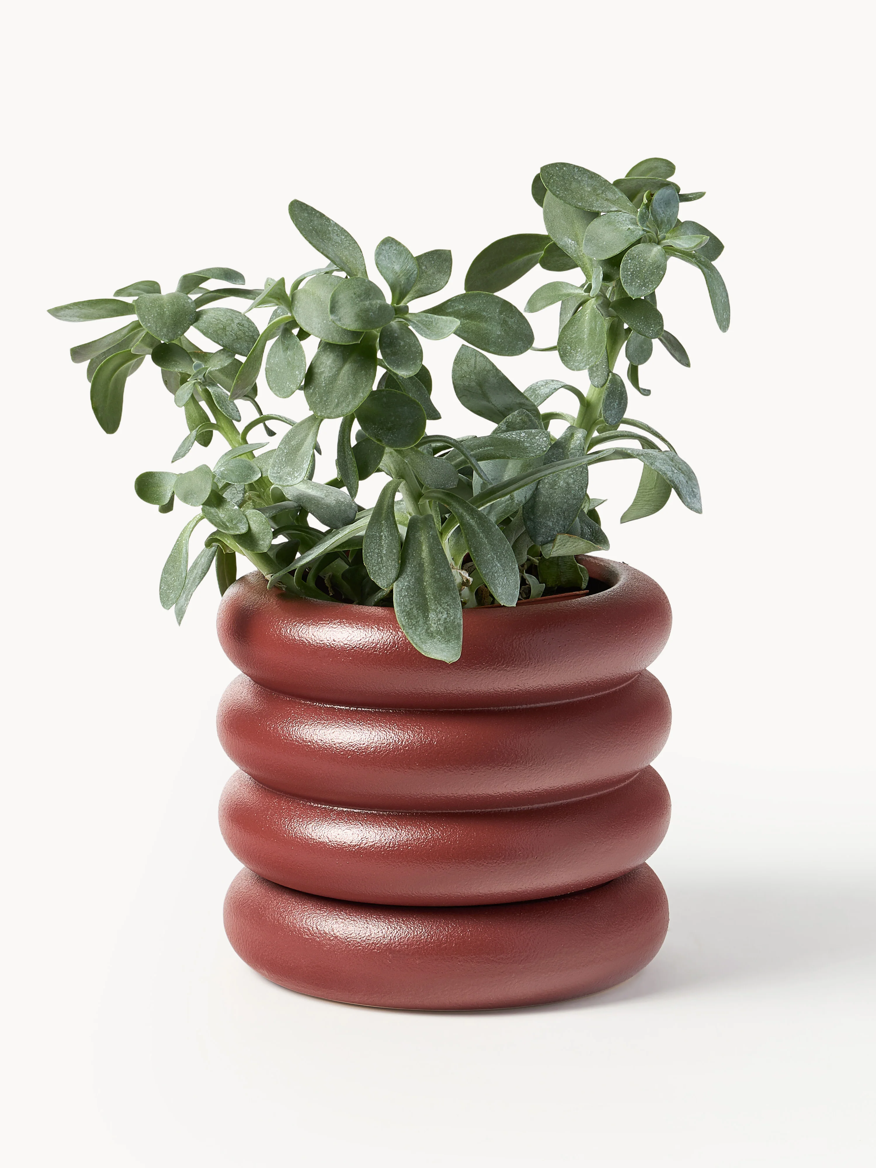Kleine plantenpot Rudi van keramiek, H 16 cm 8