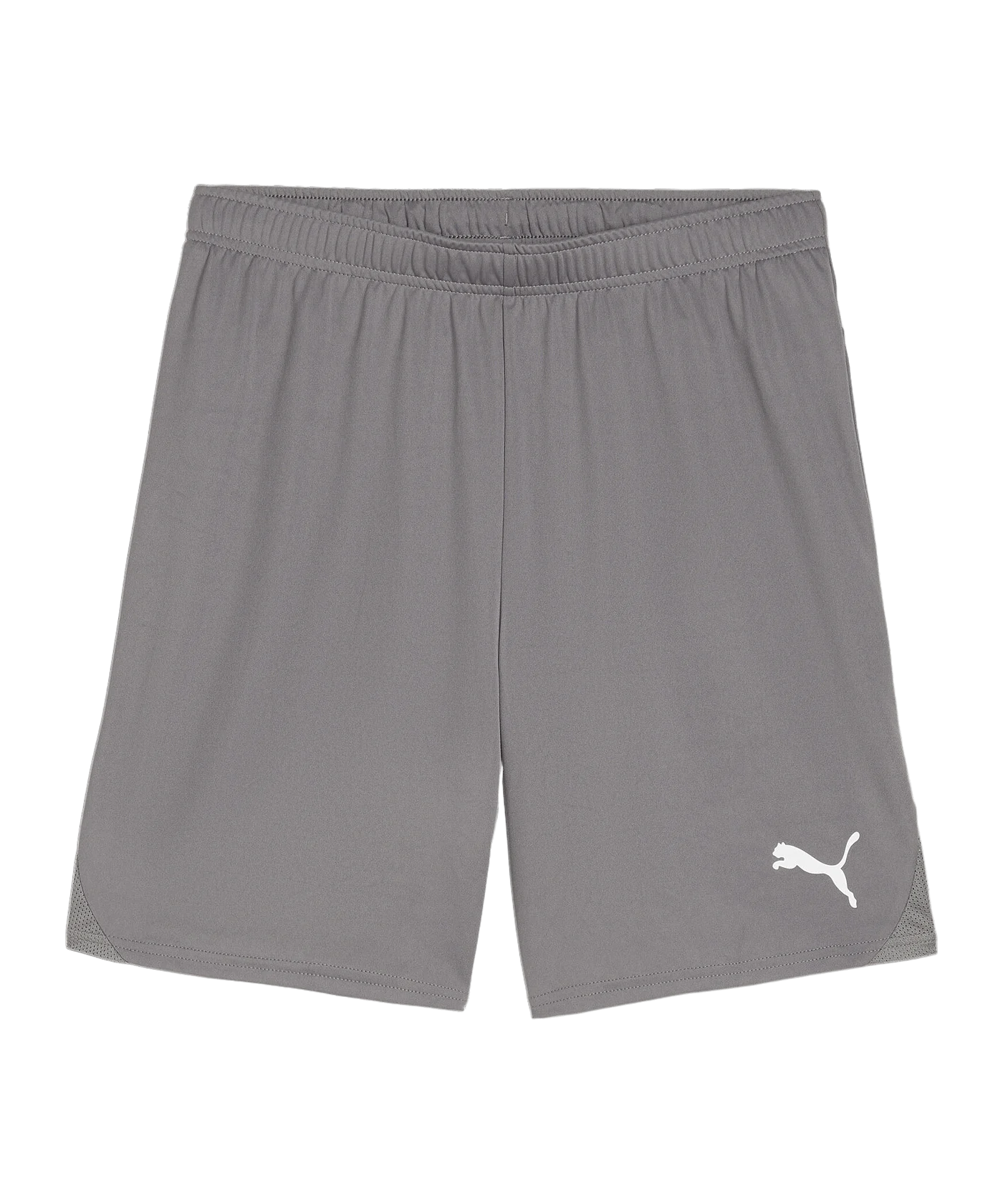PUMA teamGOAL Short Grau Weiss F13