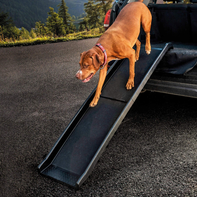 Freezack Autorampe Travel Dog