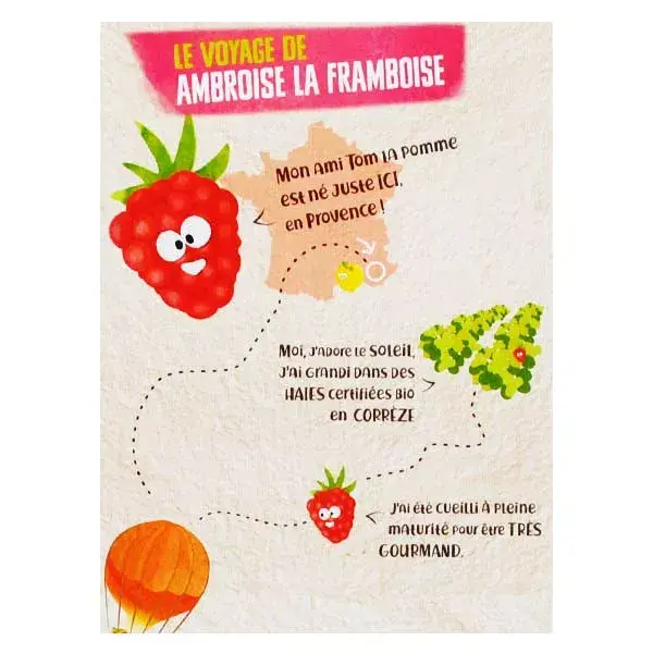 Vitabio Cool Fruits Maçã Framboesa Acerola Orgânica 12 x 90g