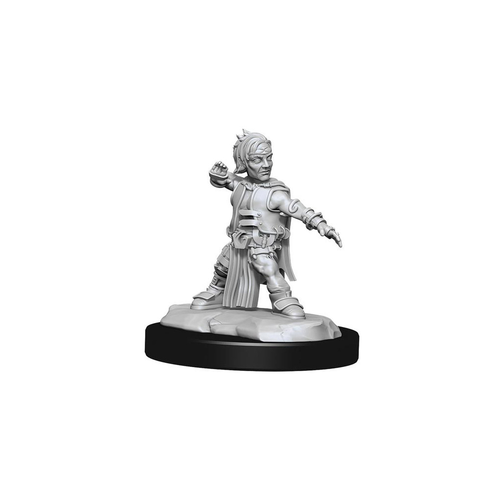 Pathfinder Deepcuts Unpainted Miniatures: Male Halfling Monk